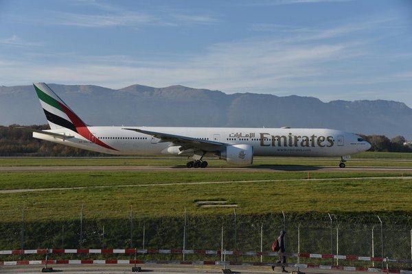 Les Meilleurs Sites Incontournables pour Observer les Dauphins dans la Mer Adriatique