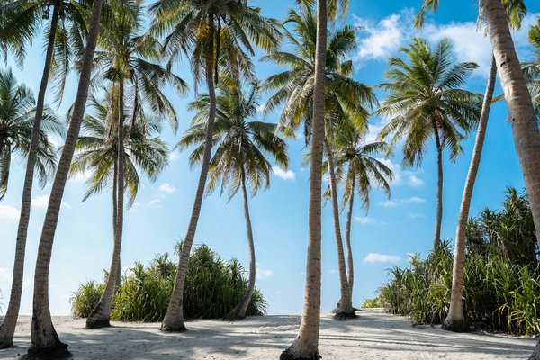 Grande ville, petit budget : comment profiter du tourisme urbain sans se ruiner