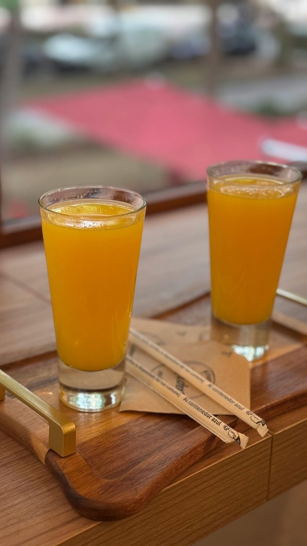 Types de grillage pour clôture rigide : guide complet et conseils pratiques